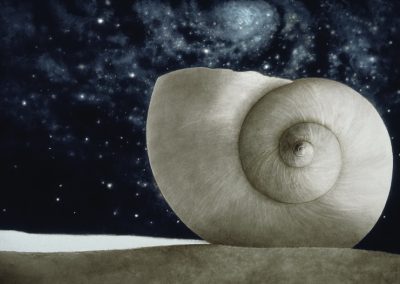 Greg Mort